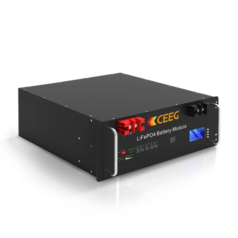 LiFePO4 battery module